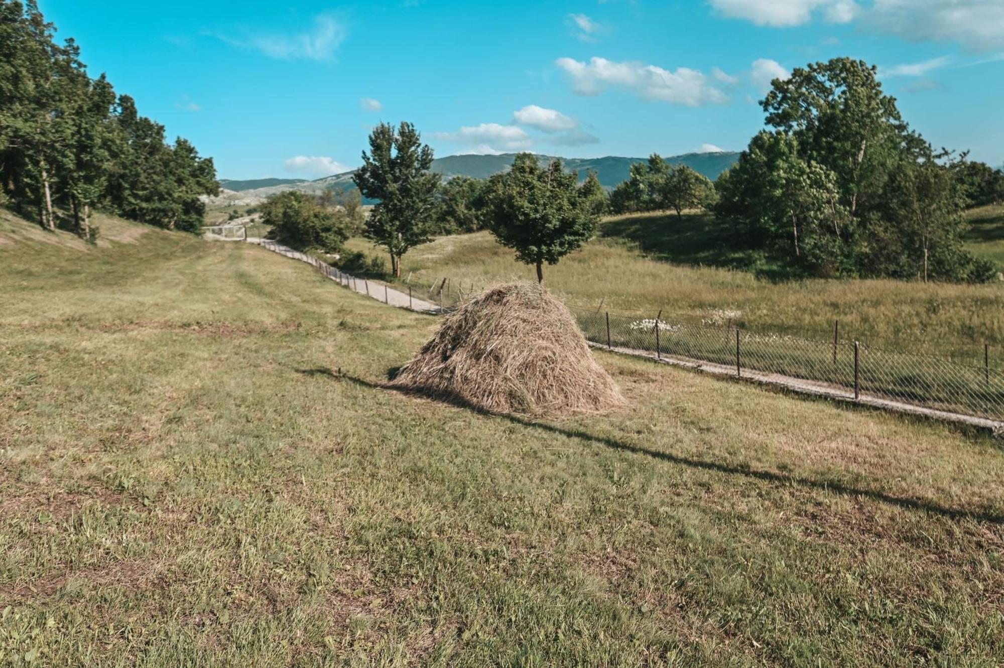 Domacinstvo Braca Rebic Vila Gacko Exterior foto